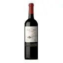 Catena-Malbec-750ml-600x600-1.webp