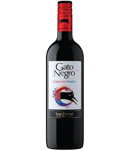 gato negro.webp