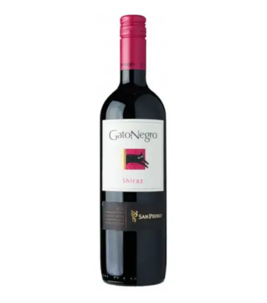 gato-negro-shiraz.webp