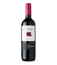 Gato negro shiraz