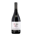 Casillero del diablo shiraz
