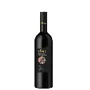 Efrat shiraz