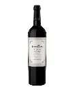Navarro correas reserva seleccion