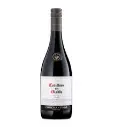 Casillero del diablo shiraz