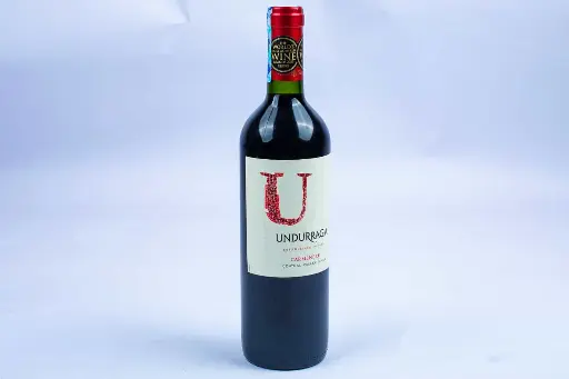 Unduragga santiago 2022