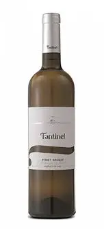 Fantinel borgo tesis 2022
