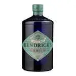 Hendricks orbium