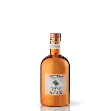 Bottega gin baccur