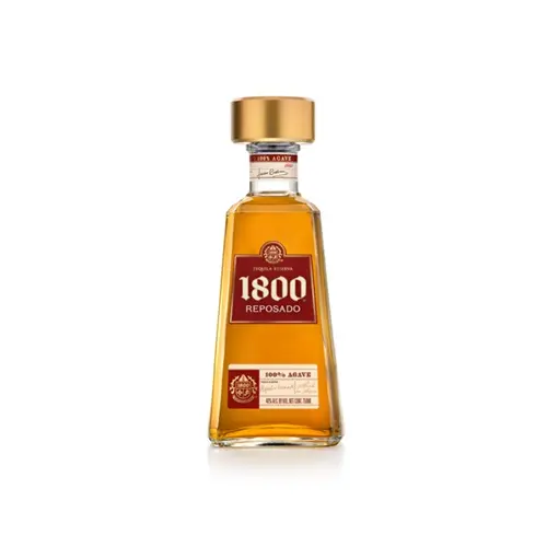 Patron roca reposado