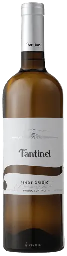 Fantinel Borgo tesis 2022