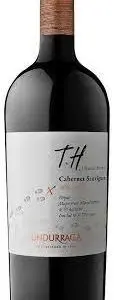 Terrior hunter cabernet alto maipo 2020