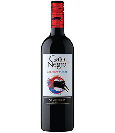 Gato negro 