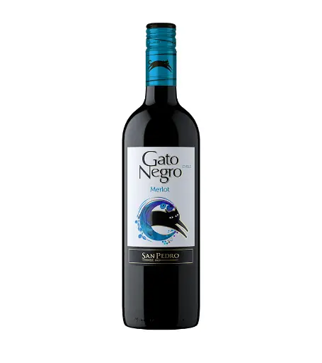 Gato negro