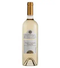 Bottega pinot grigio