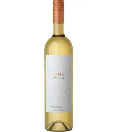 Alma more pinot grigio